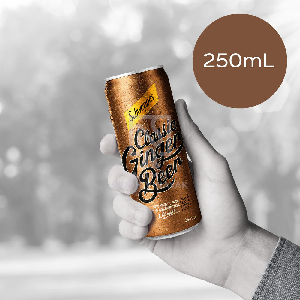 schwepes Ginger Beer 250ml